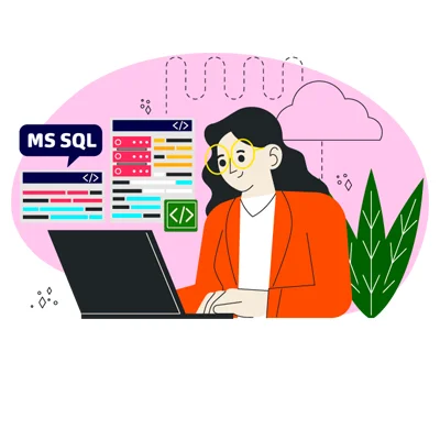 Microsoft SQL server developers