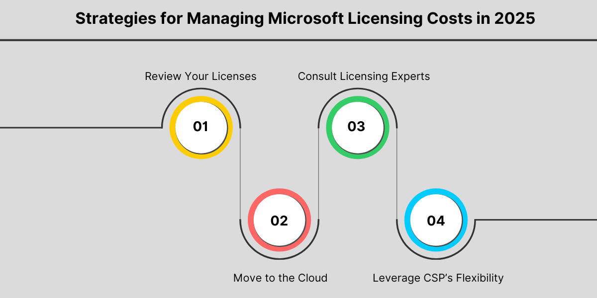 Strategies for Managing Microsoft Licensing Costs in 2025 A Simple Guide